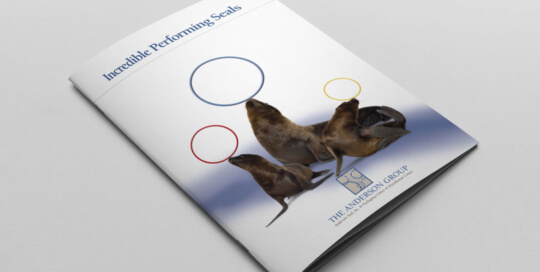 The Anderson Group cover of brochure
