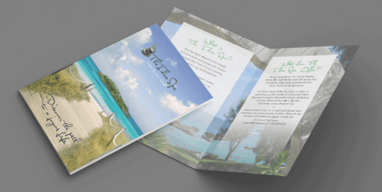 The Idea Brochure
